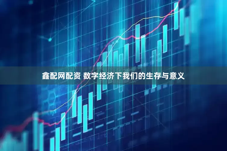 鑫配网配资 数字经济下我们的生存与意义