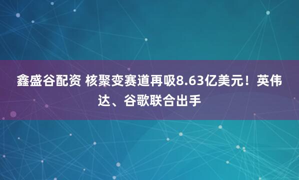 鑫盛谷配资 核聚变赛道再吸8.63亿美元！英伟达、谷歌联合出手